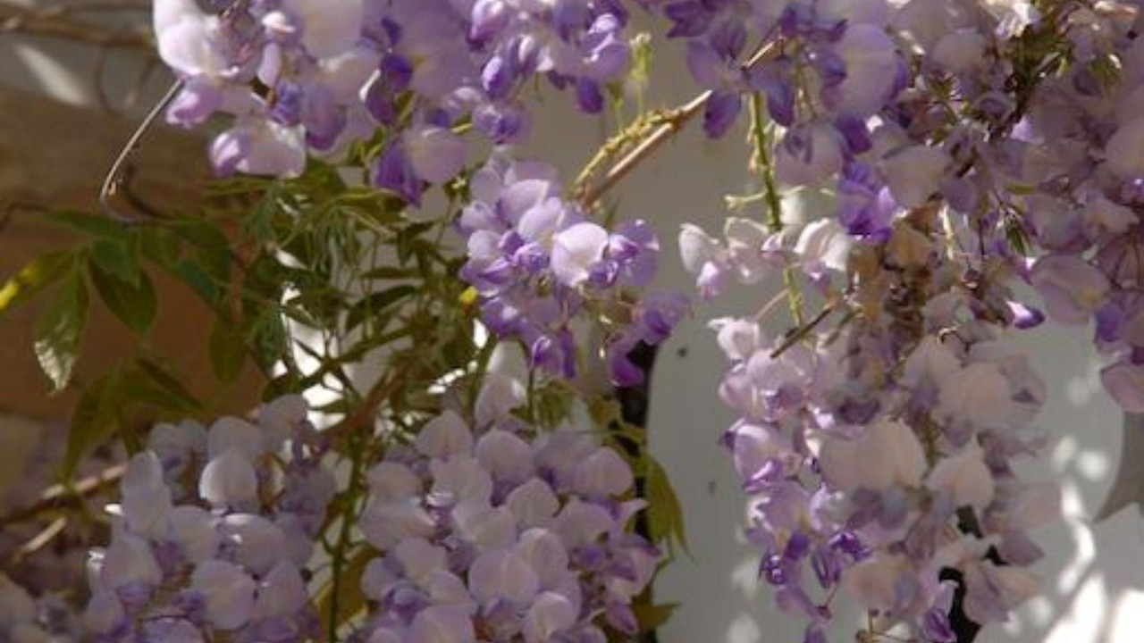 Photo of Outdoor in Verneuil-sur-Avre