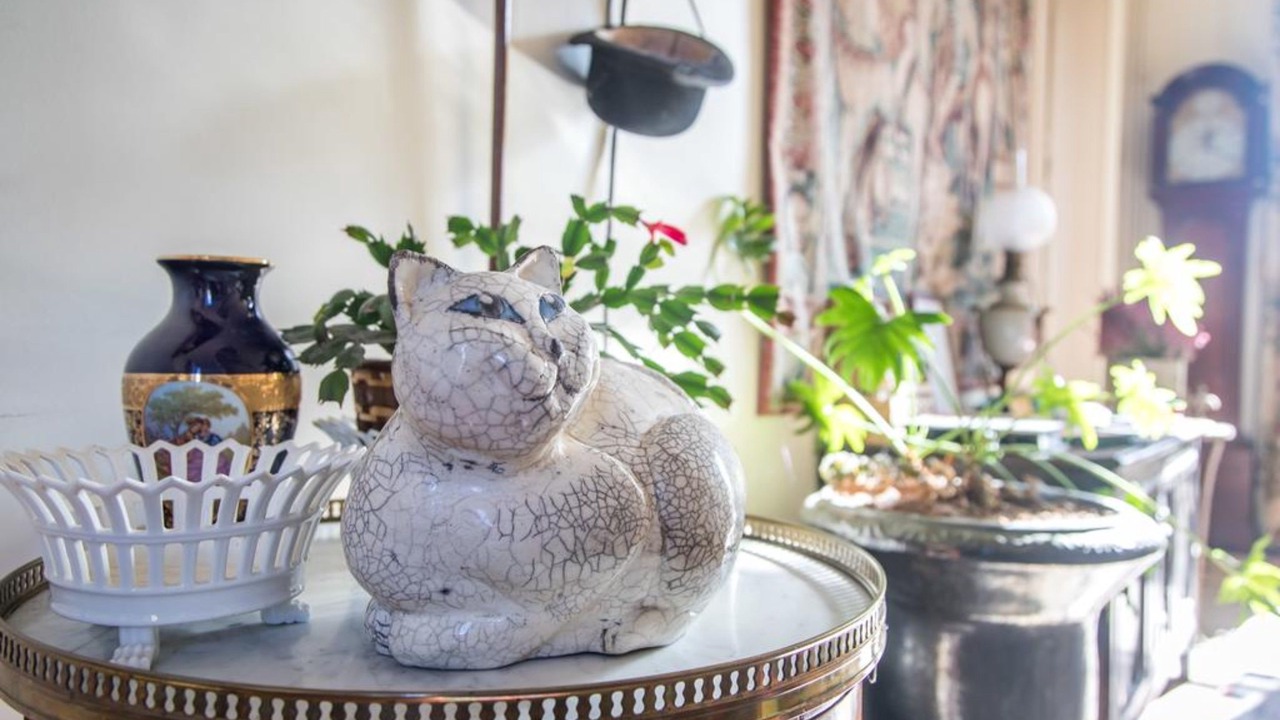 Photo of Others in Verneuil-sur-Avre