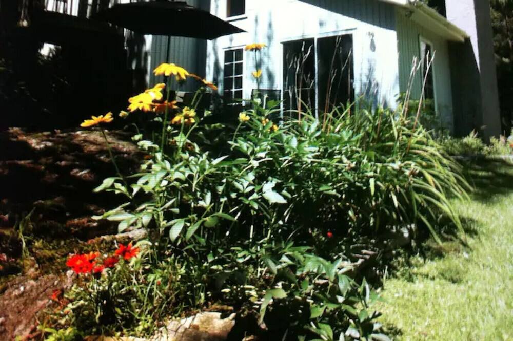 Photo of Outdoor in Orford Lake
