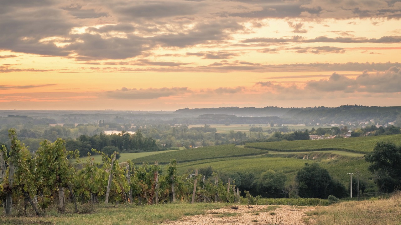 Photo of Outdoor in Rions