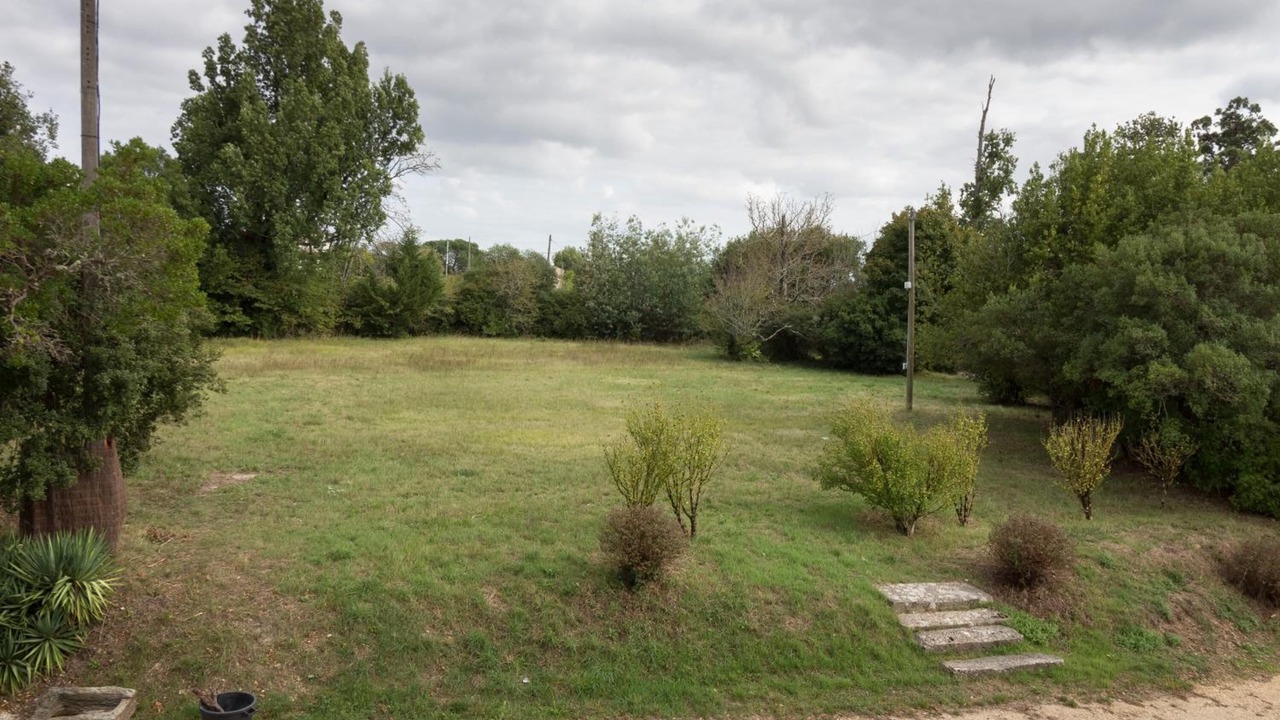 Photo of Outdoor in Rions