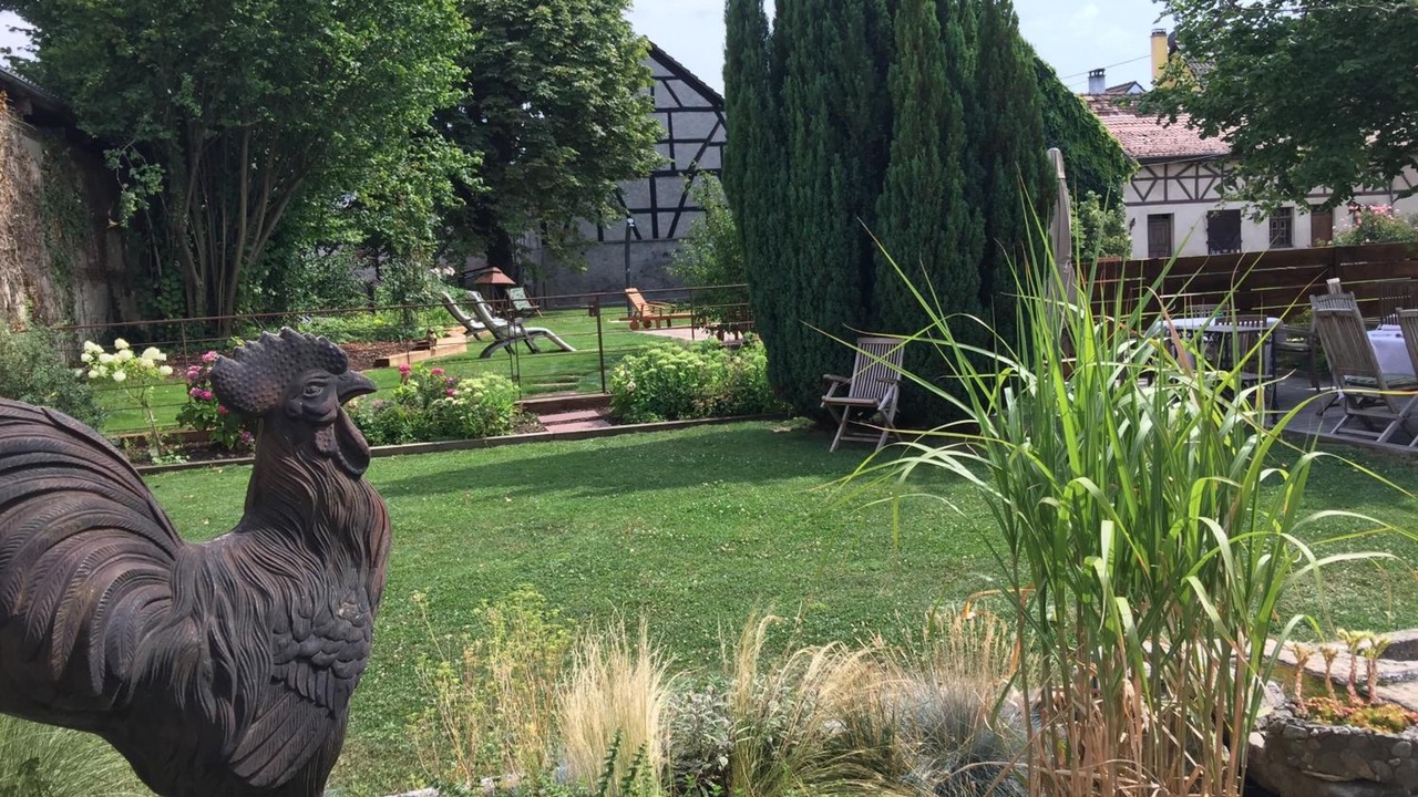 Photo of Outdoor in Sierentz