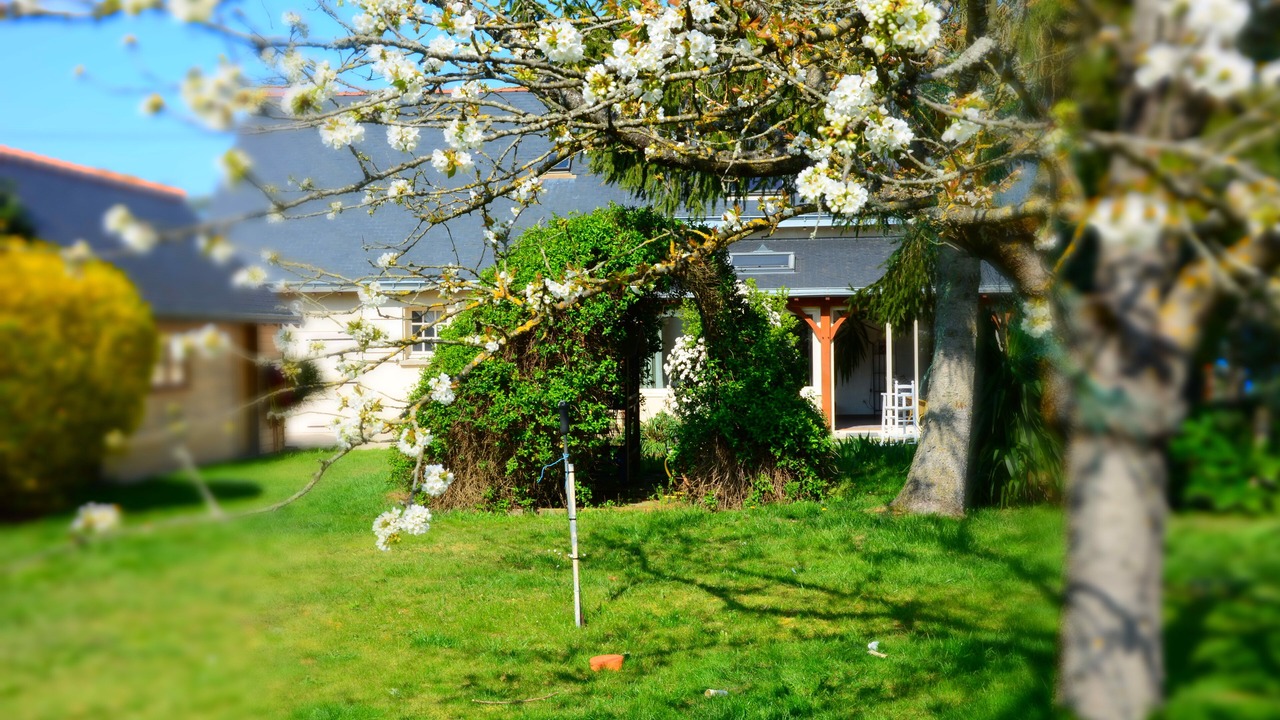 Photo of Outdoor in Varennes sur Loire