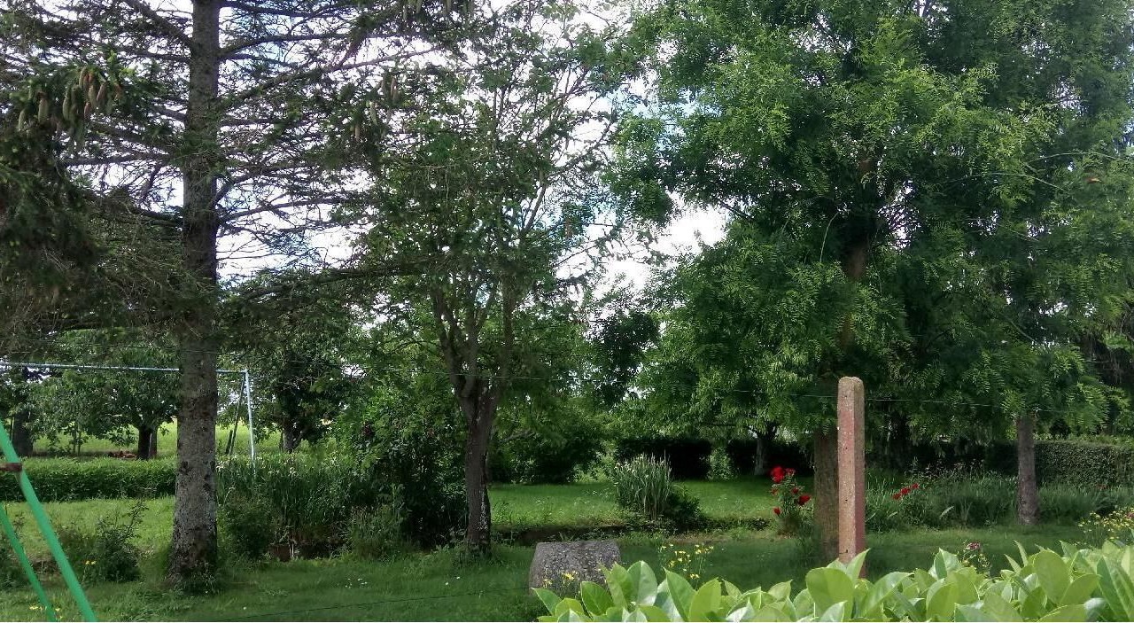 Photo of Outdoor in Curzon