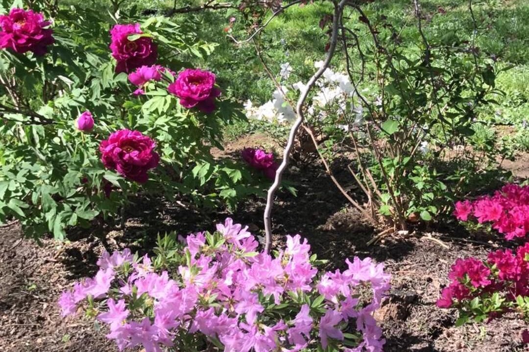 Photo of Outdoor in Marietta