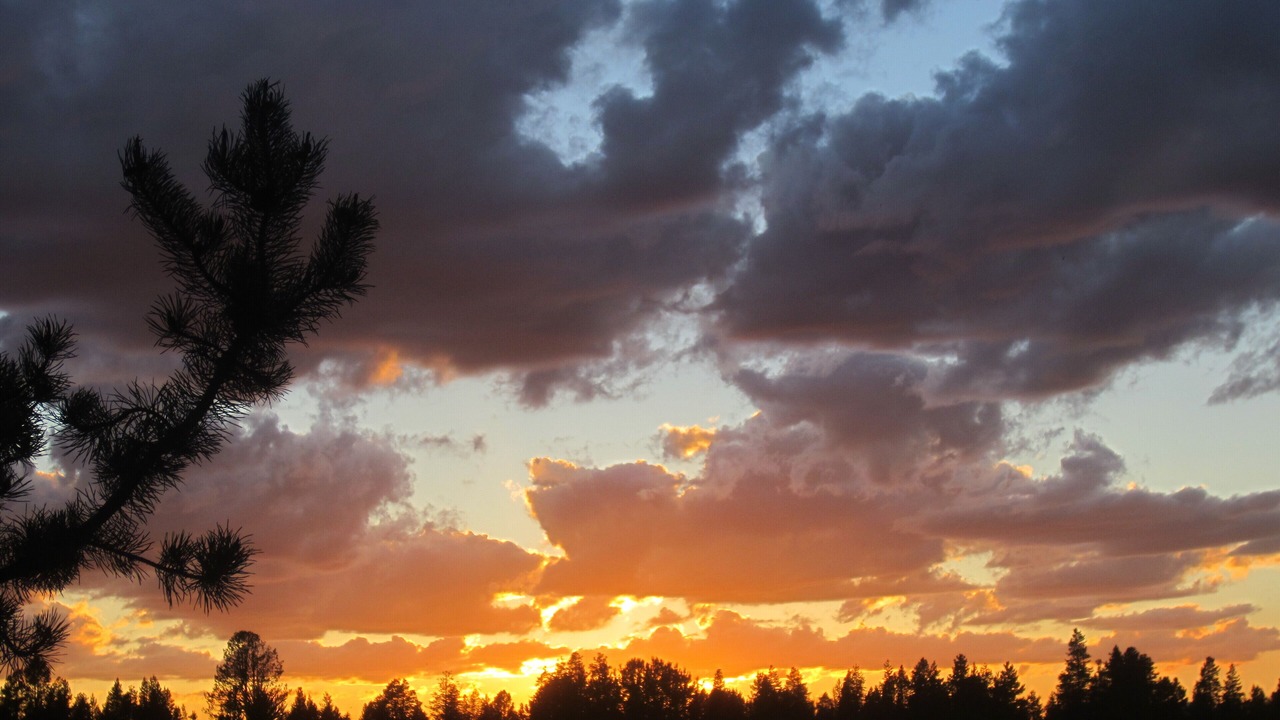 Photo of Outdoor in La Pine