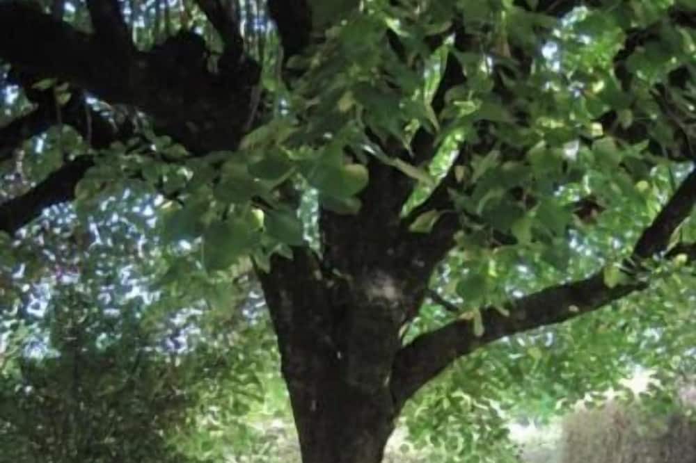 Photo of Others in Lempaut