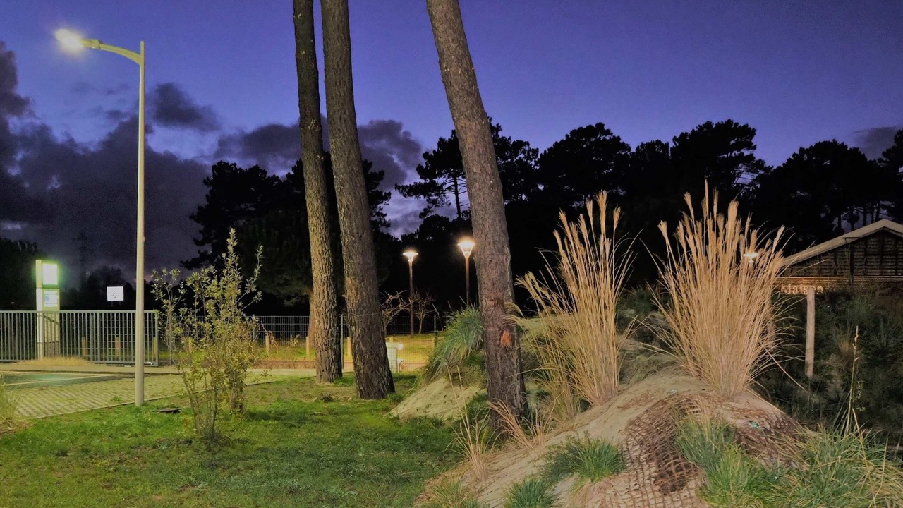 Photo of Others in Gujan-Mestras