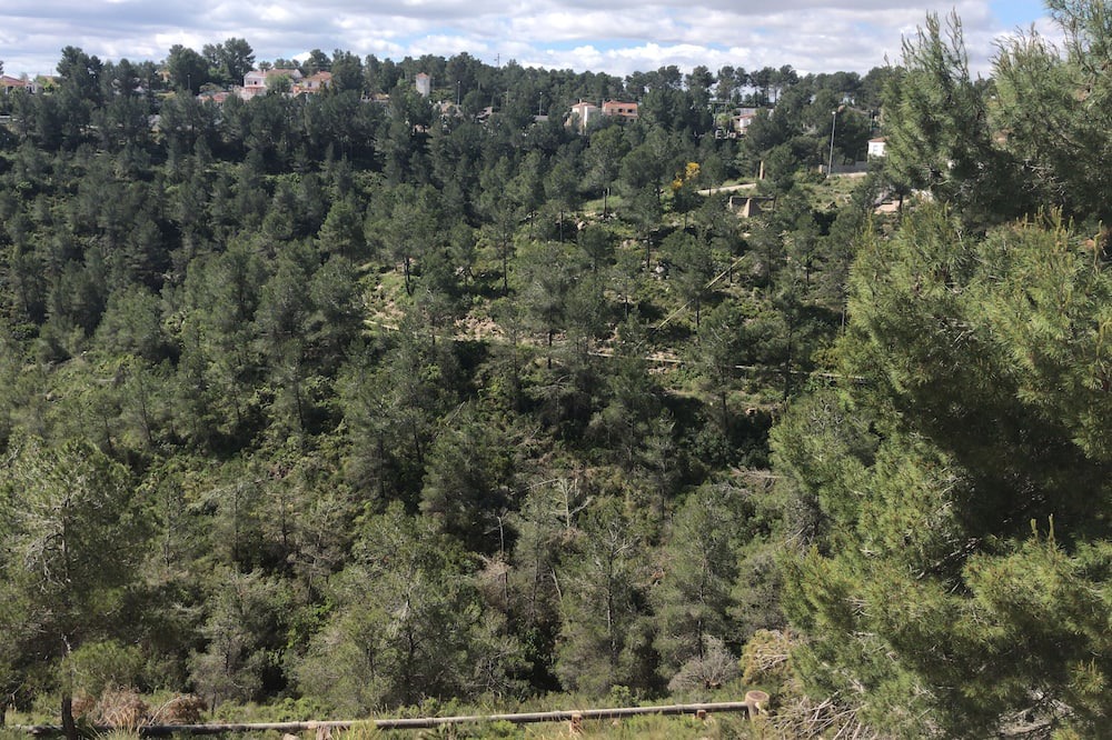 Photo of Outdoor in Mogente/Moixent