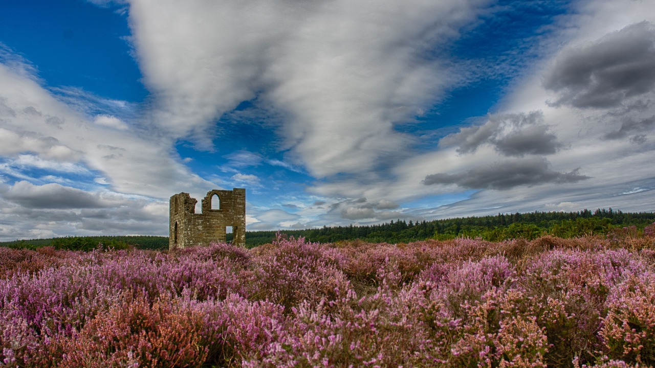 Photo of Others in Pickering