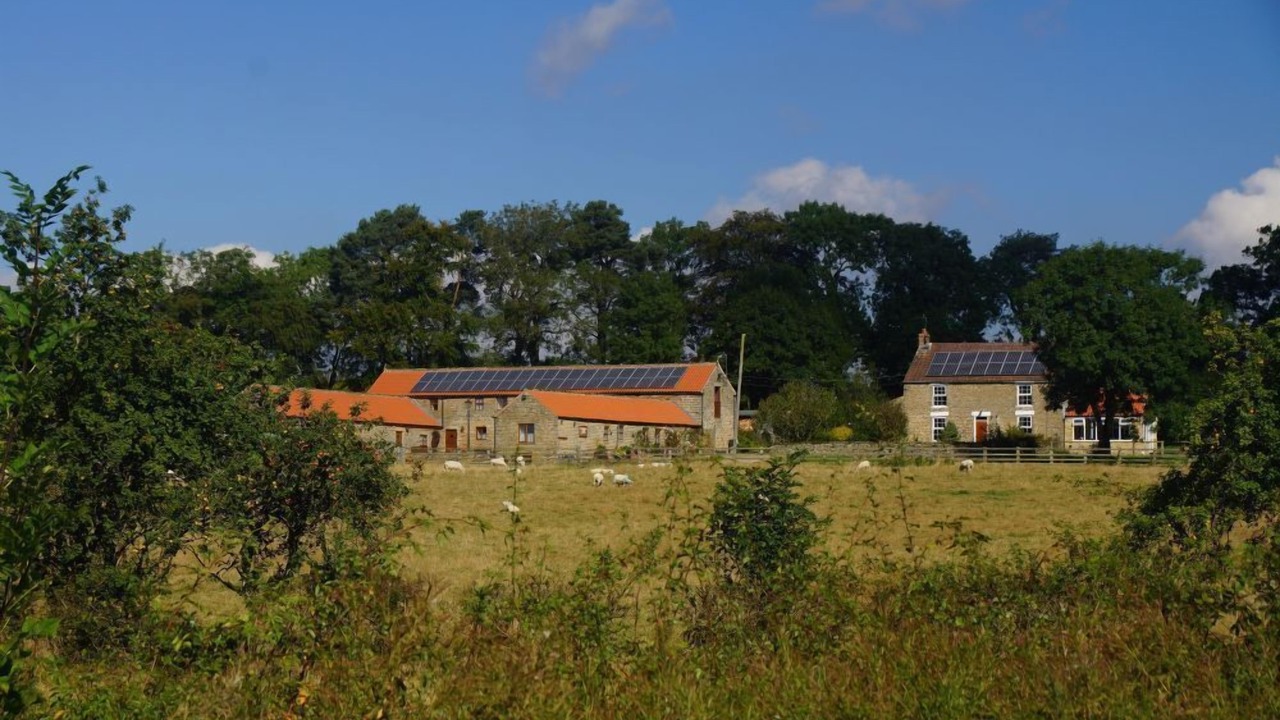 Photo of Others in Pickering