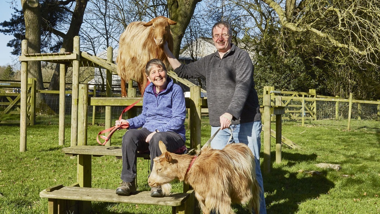 Photo of Others in Pickering