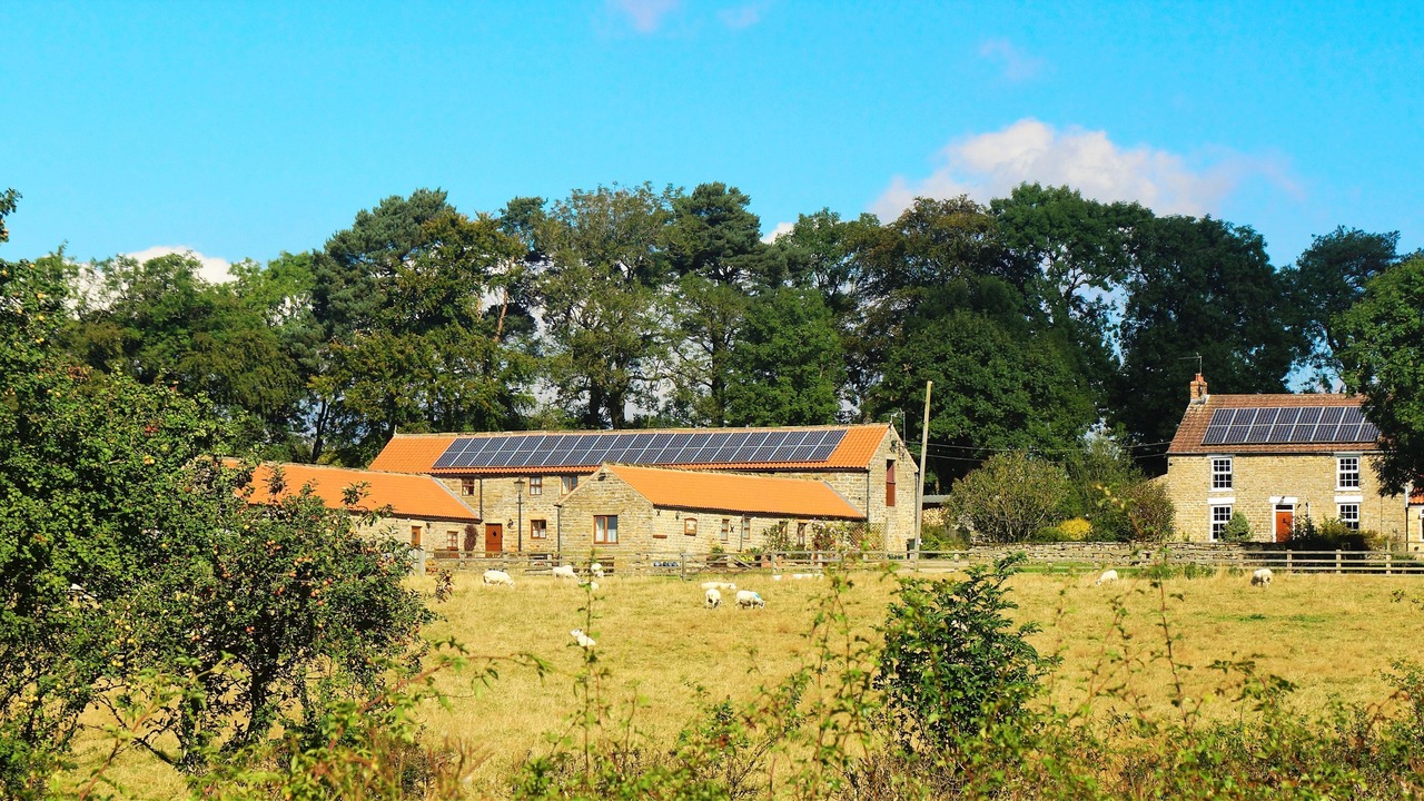 Photo of Outdoor in Pickering