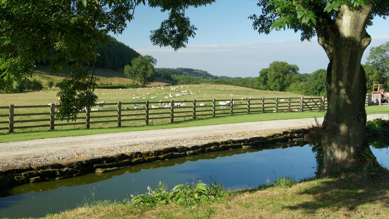 Photo of Outdoor in Pickering