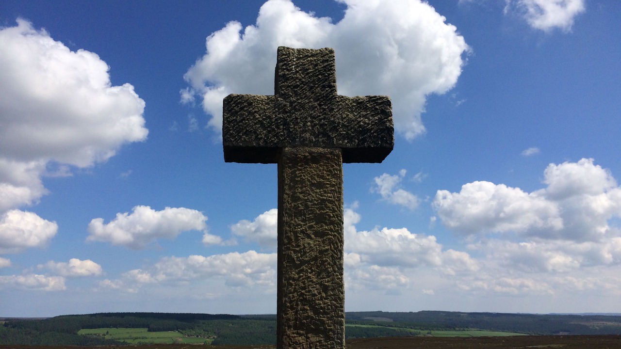 Photo of Others in Pickering