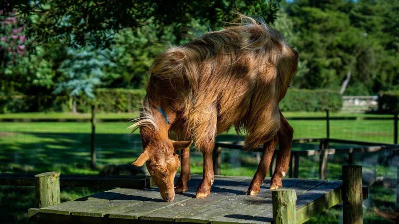 Photo of Others in Pickering