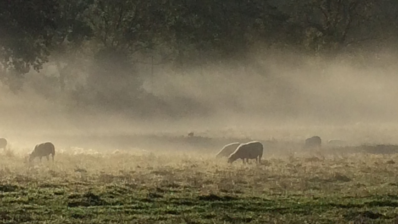 Photo of Others in Pickering