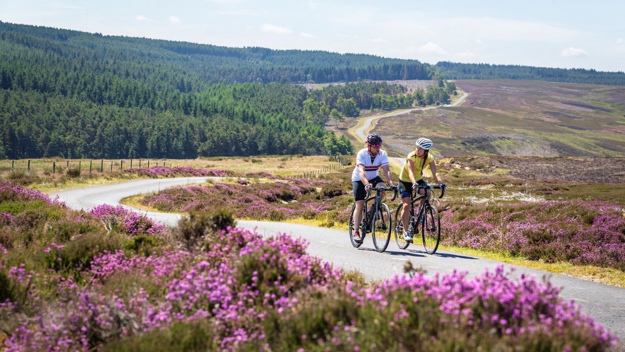 Photo of Outdoor in Pickering