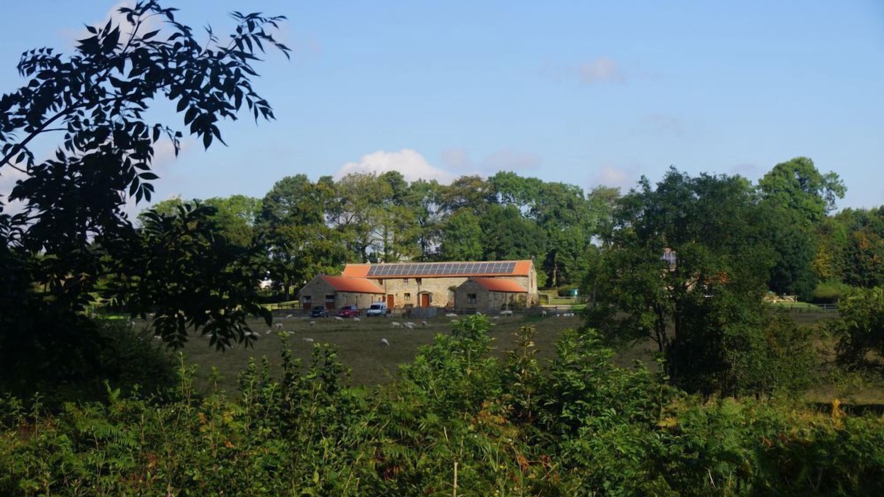 Photo of Others in Pickering