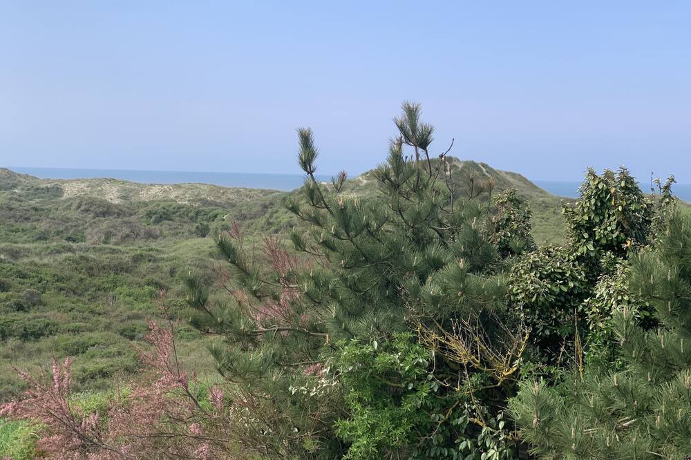 Photo of Outdoor in Quend-Plage-les-Pins