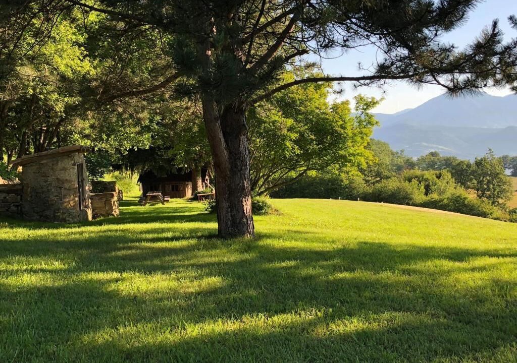 Photo of Outdoor in Comps