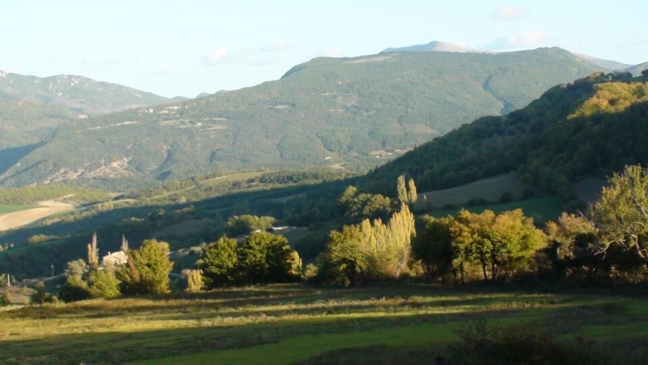 Photo of Others in Comps