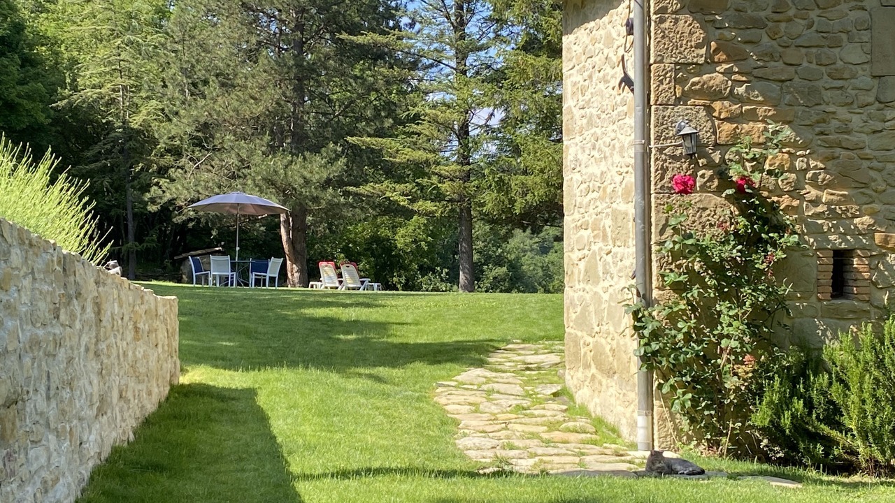 Photo of Outdoor in Comps