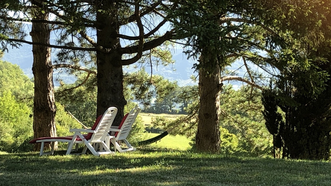 Photo of Outdoor in Comps