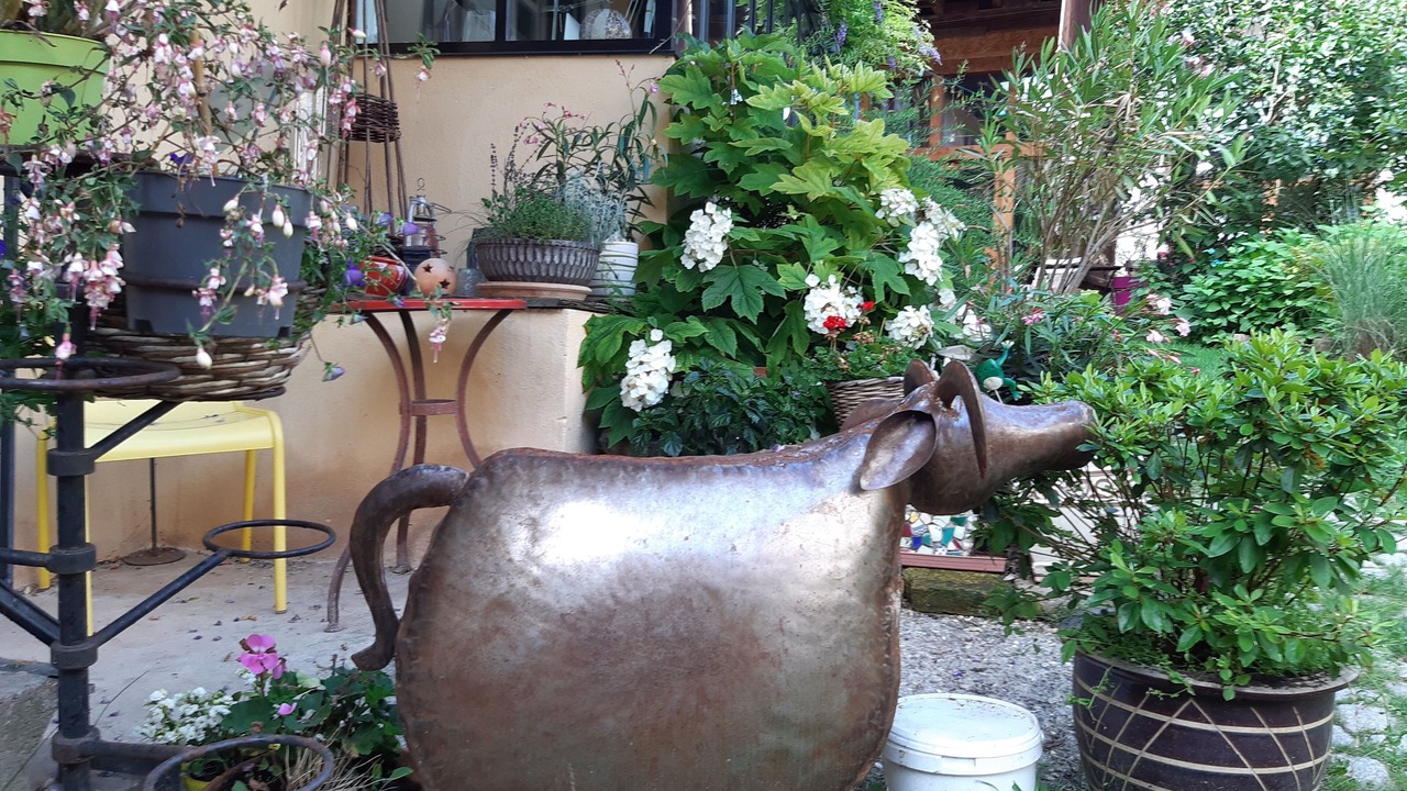 Photo of Outdoor in Ernolsheim-Bruche