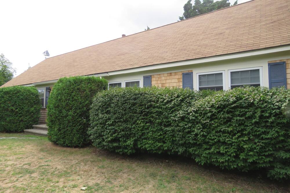 Photo of Others in Falmouth