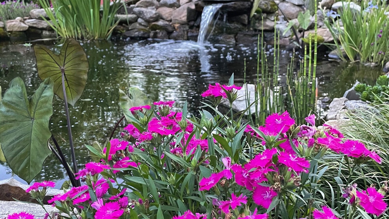 Photo of Outdoor in Maxeys