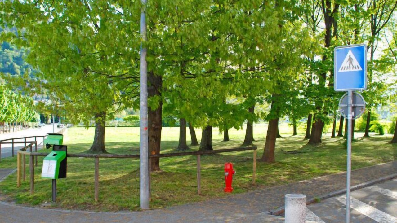 Photo of Outdoor in Losone