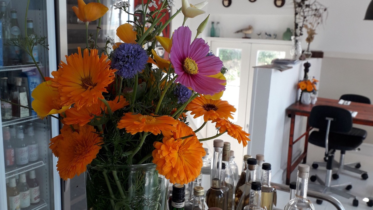 Photo of Others in Samsø