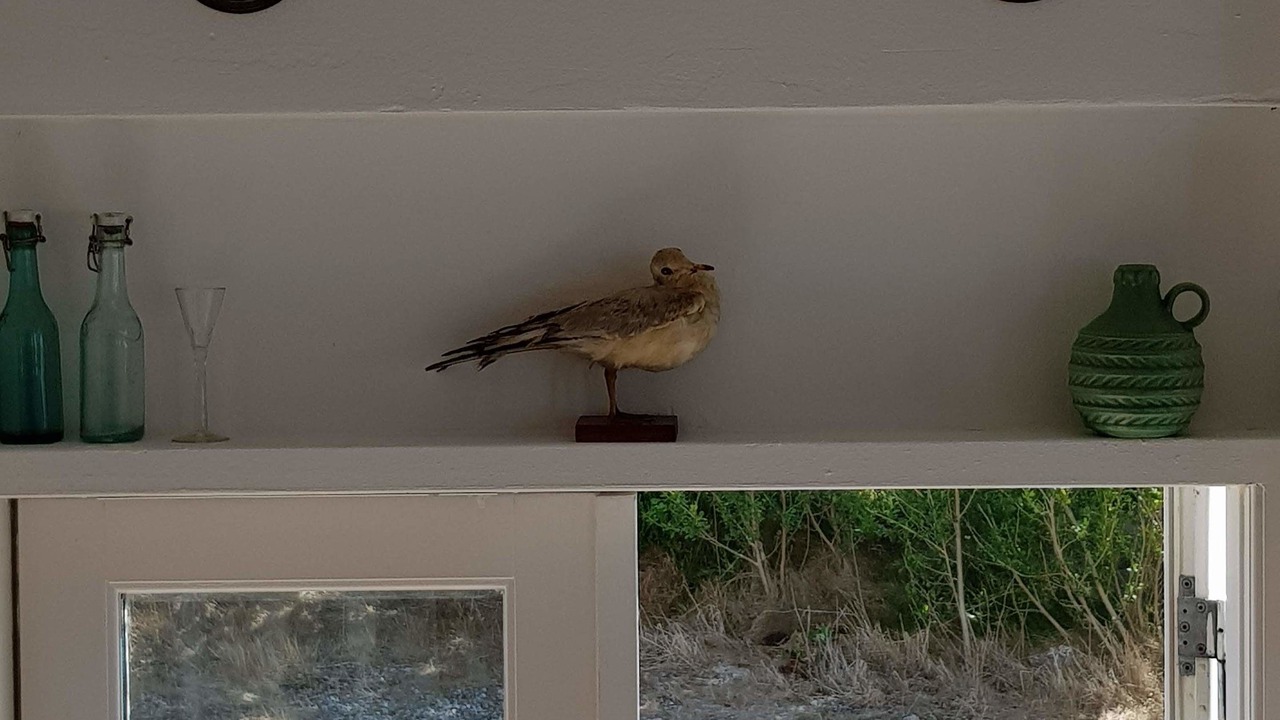 Photo of Others in Samsø