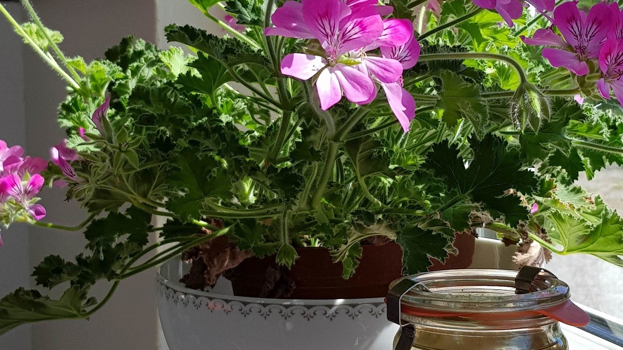 Photo of Others in Samsø