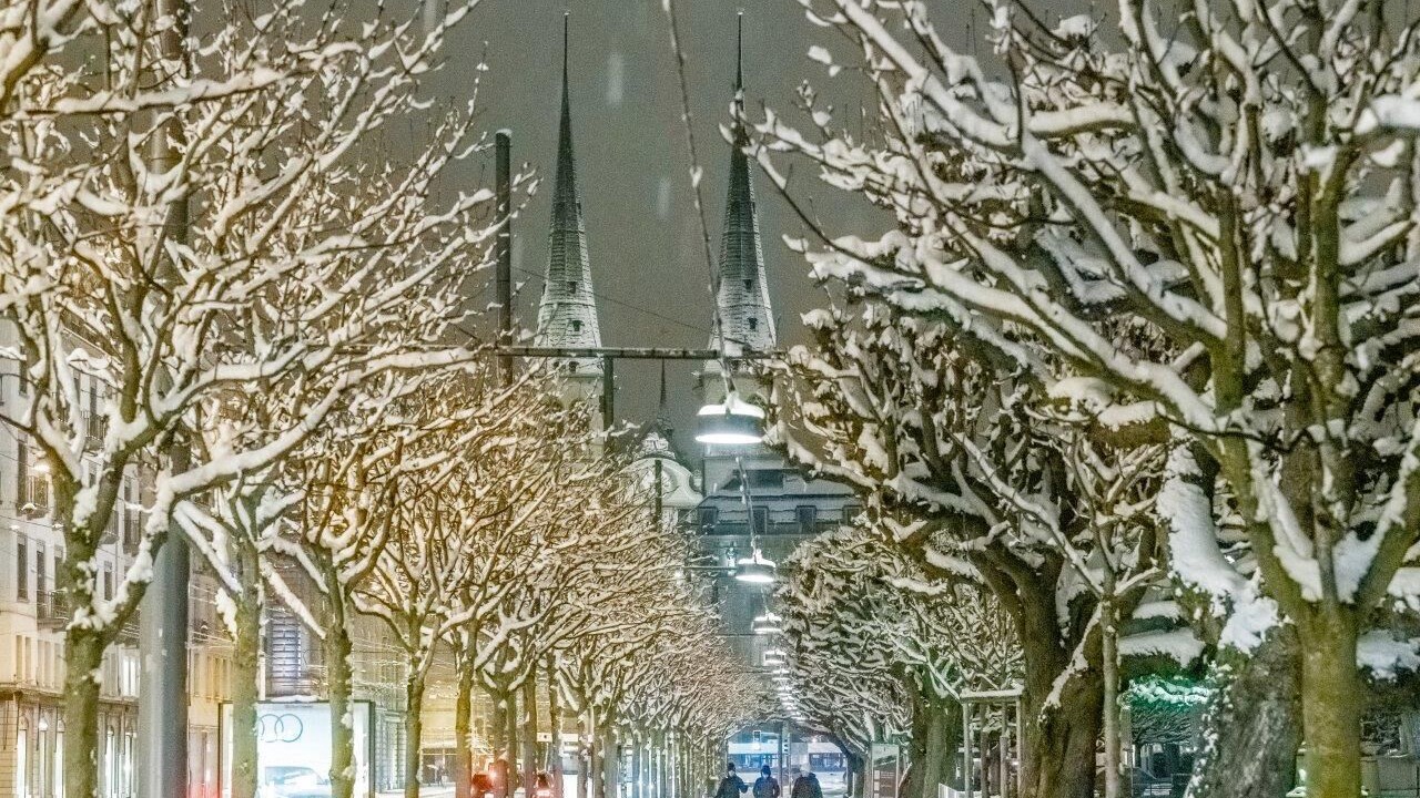 Photo of Others in Lucerne