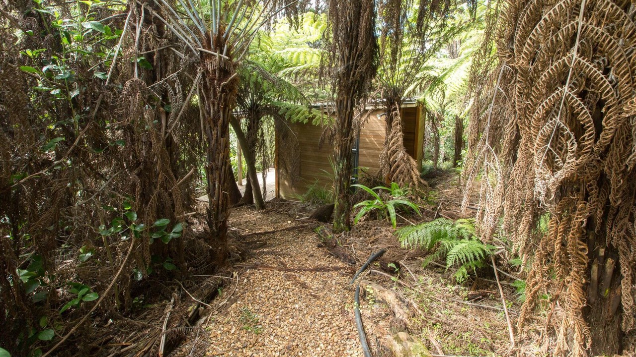 Photo of Outdoor in Waiheke Island