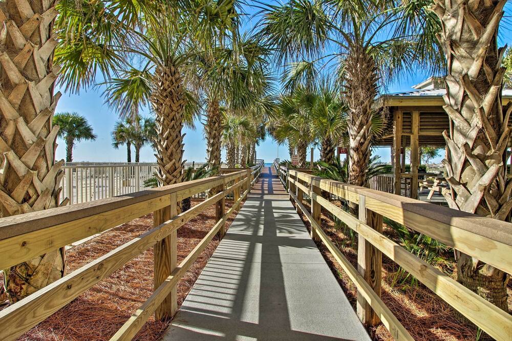 Photo of Others in Orange Beach East