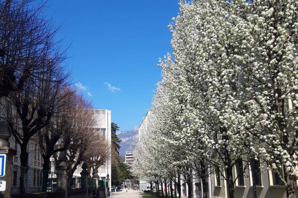 Photo of Outdoor in Chambery