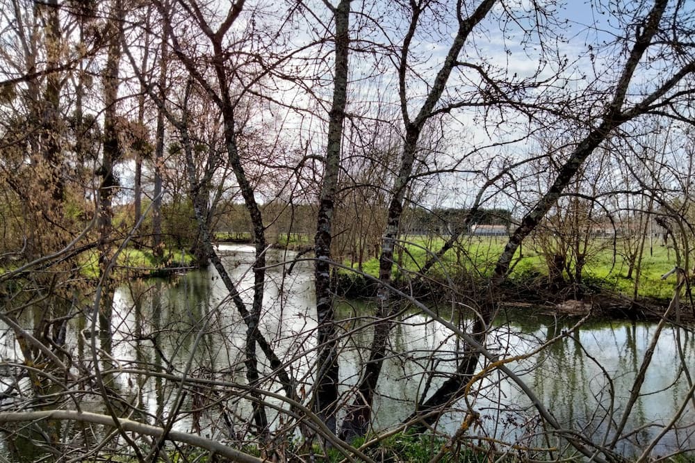 Photo of Outdoor in Saint-Germain-de-Lusignan