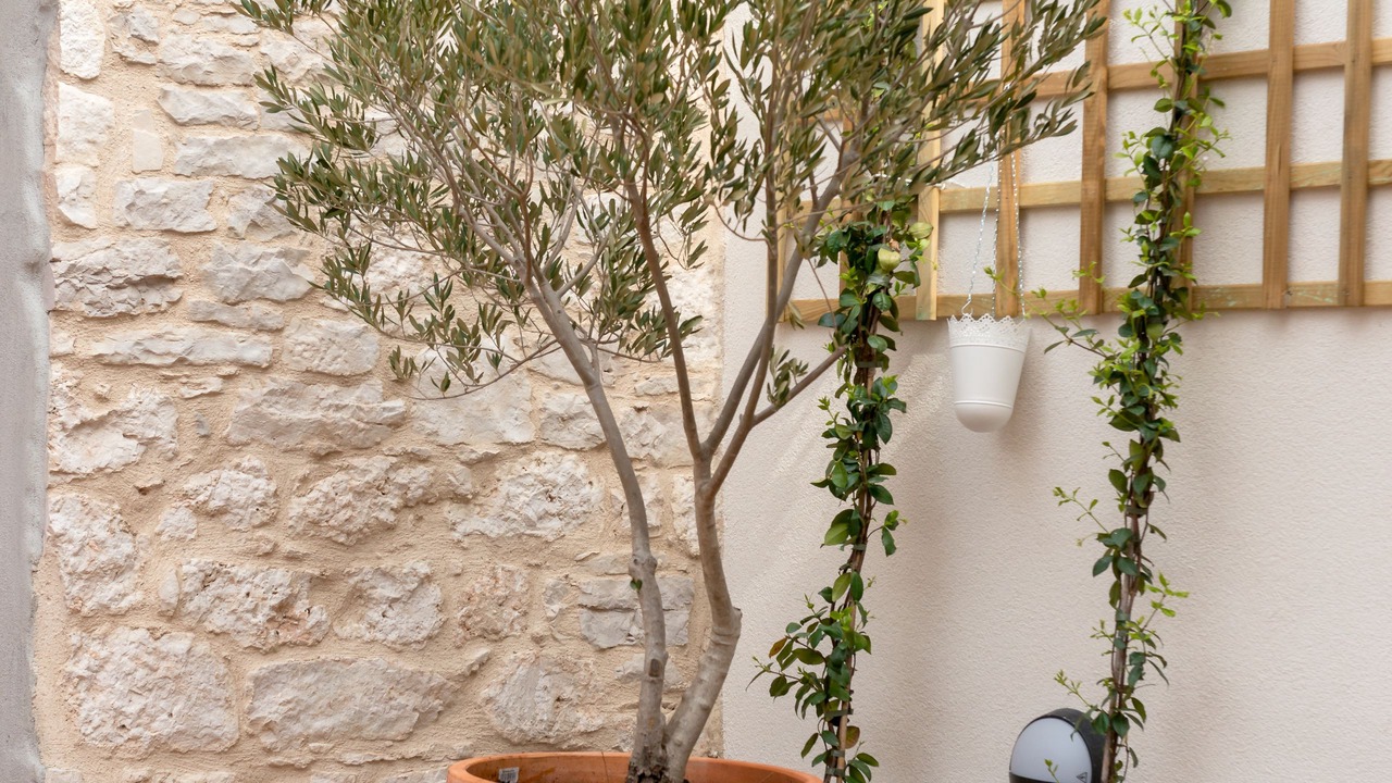 Photo of Outdoor in Supetar