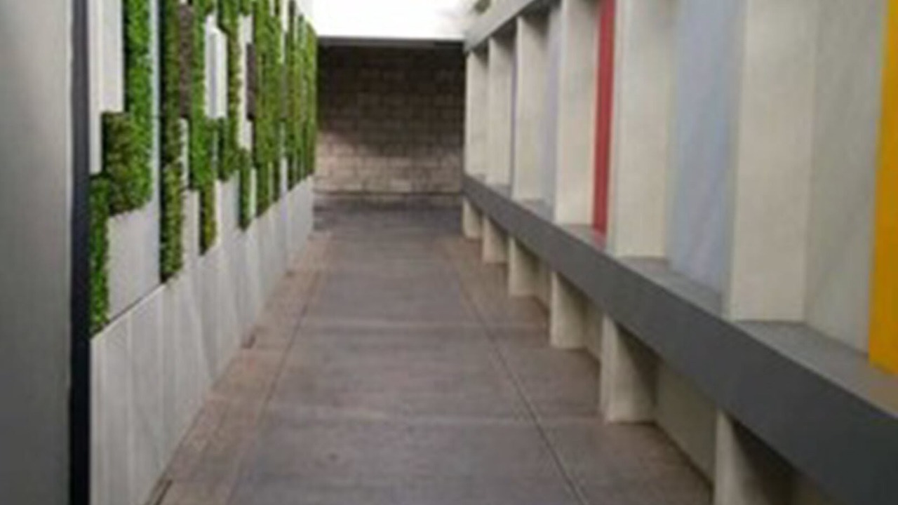 Photo of Others in Zona Centro