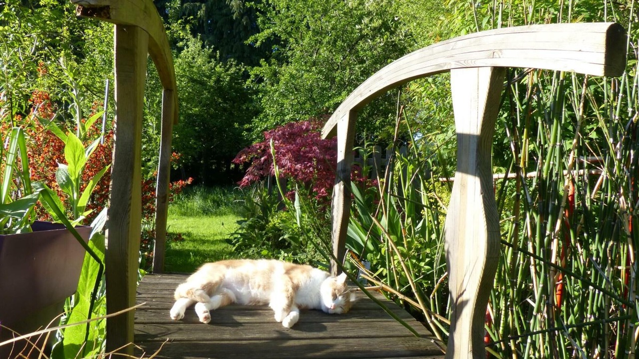 Photo of Outdoor in Sainte-Opportune