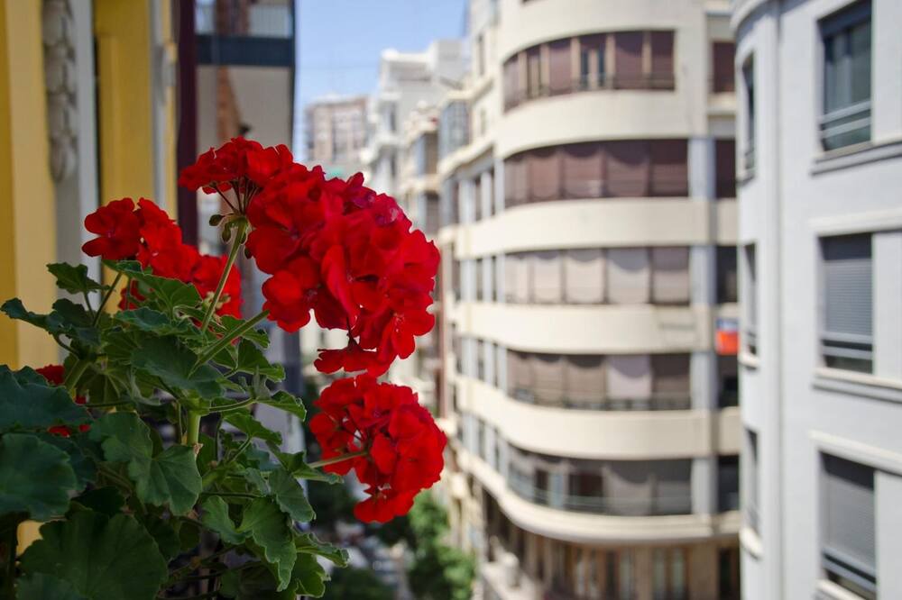 Photo of Patio Balcony in Sant Francesc