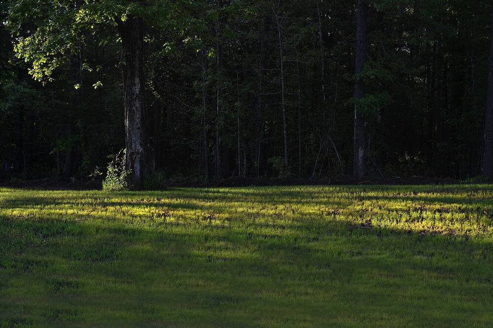 Photo of Outdoor in Shirley