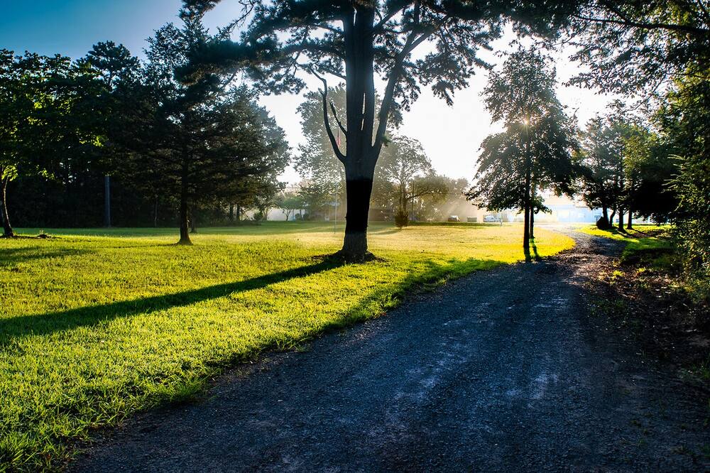 Photo of Outdoor in Shirley