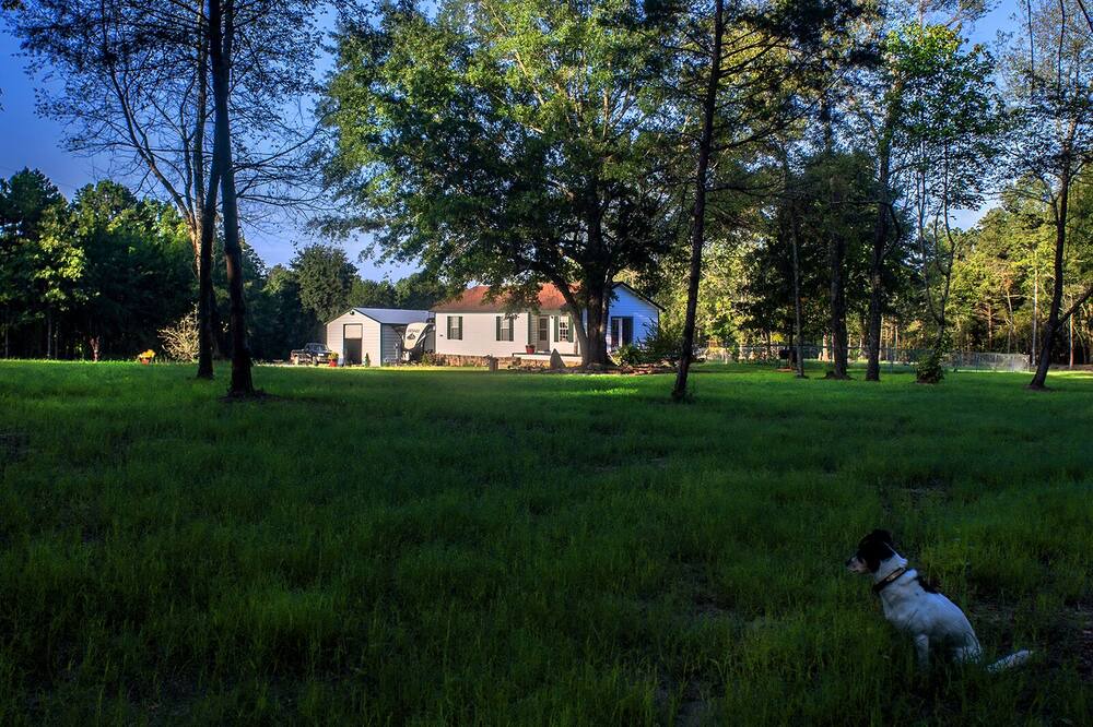 Photo of Outdoor in Shirley