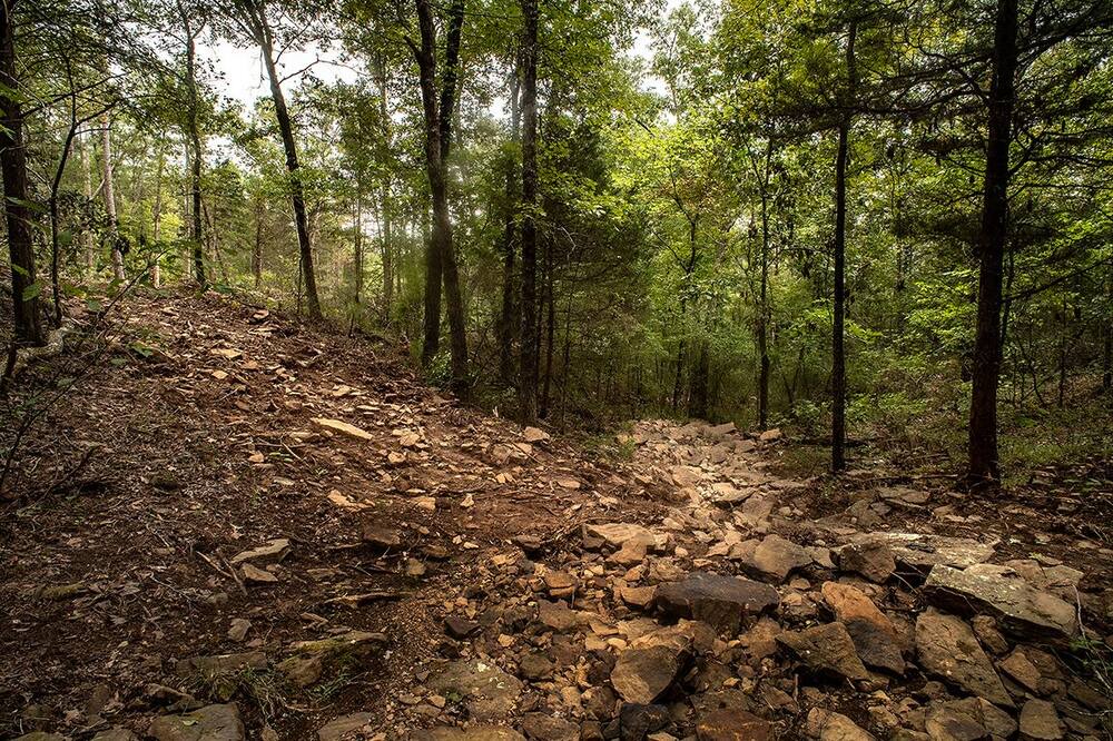 Photo of Outdoor in Shirley