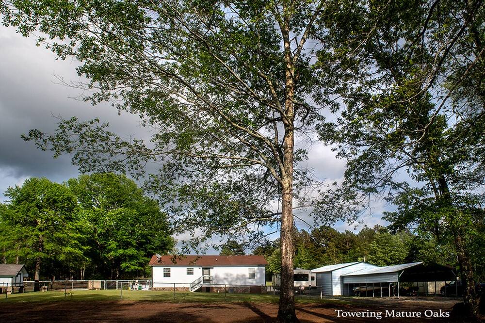 Photo of Outdoor in Shirley
