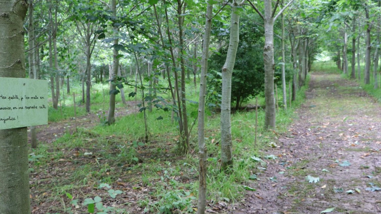 Photo of Outdoor in Saint-Mars-d'Egrenne